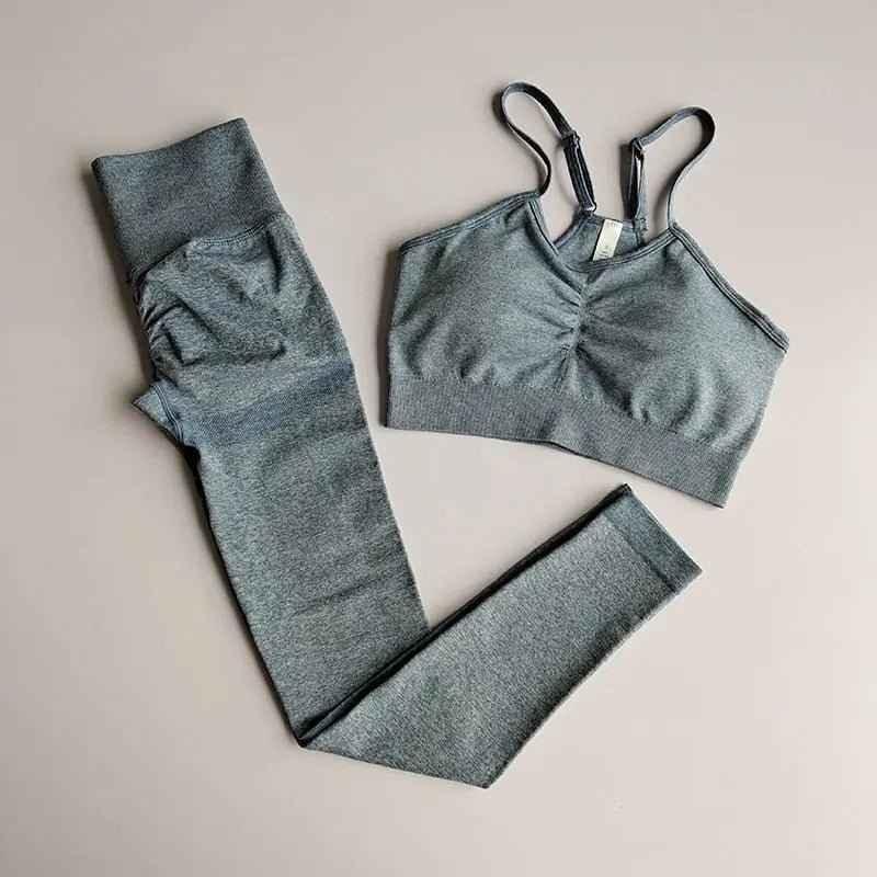 2 Piece gym Yoga Set
