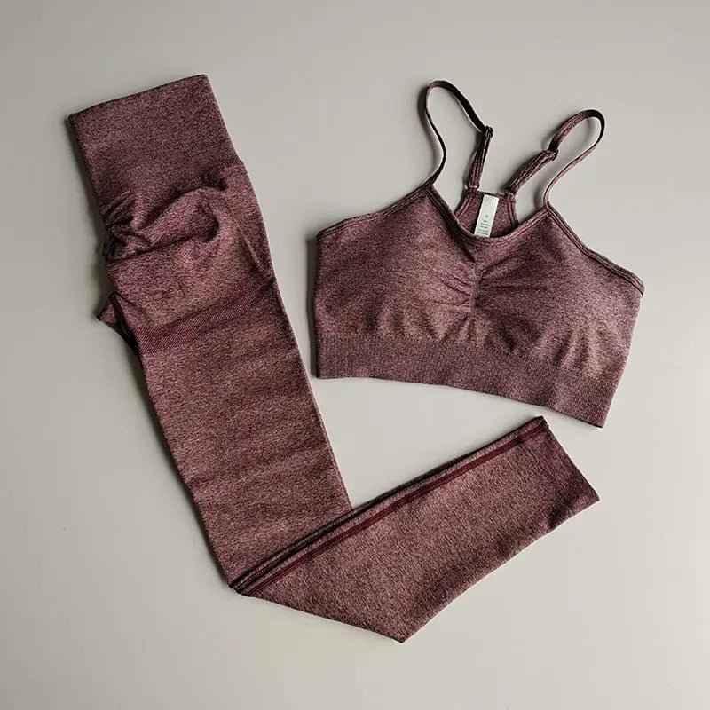 2 Piece gym Yoga Set