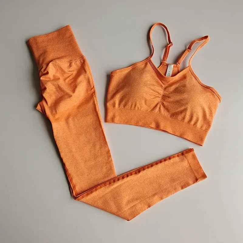 2 Piece gym Yoga Set